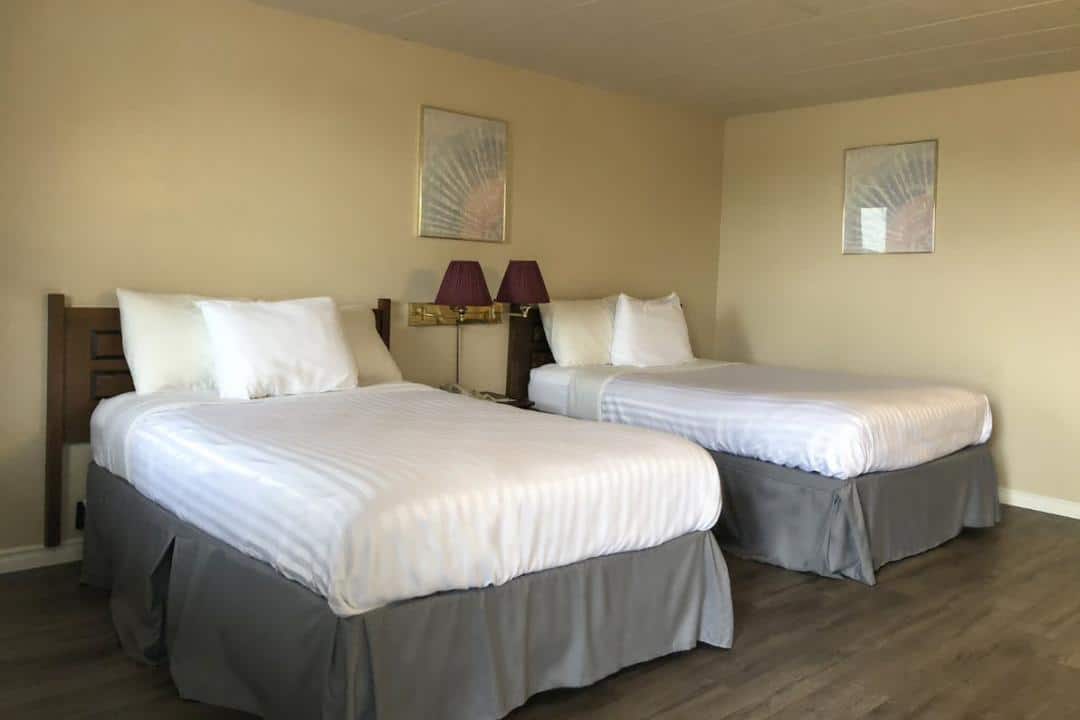 Hotel room with two beds and purple lamps.